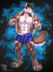  abs anthro bottomwear bulge canid canine canis clothed clothing collar dog_tags domestic_dog erection erection_under_clothing genital_outline hi_res husky looking_at_viewer male mammal mostly_nude muscular nordic_sled_dog open_clothing open_shirt open_topwear paul_(majin764) pecs penis_outline presenting shirt shorts sleeveless_hoodie smile solo spitz teeth topwear vallhund 