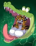  anthro bell big_breasts big_mouth_(anatomy) big_tongue breasts clothed clothing colored crocodile crocodilian crocodylid digital_media_(artwork) disney duo featureless_breasts felid female female_on_feral female_prey feral feral_pred fur green_body green_scales hair hypnofood male male/female male_pred mammal open_mouth oral_vore pantherine peter_pan reptile sascha_(hypnofood) scales scalie shaded sharp_teeth shocked_expression striped_body striped_fur stripes swallowing teeth throat tick-tock_the_crocodile tiger tongue topless topless_female unwilling_prey vore white_body white_fur 