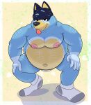  bandit_(disambiguation) bandit_heeler bluey_(series) bodily_fluids canid canine canis chub_(disambiguation) clothing domestic_dog father hairy heeler hi_res male mammal mature_male musk overweight parent slightly_chubby sweat underwear 