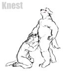 animated anthro canid canine duo kneeling knest low_res male male/male mammal masturbation oral short_playtime slightly_chubby tail_motion tailwag 