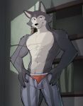  2022 anthro beastars canid canine canis claws clothing fingers fur grey_body grey_fur hi_res jrjresq legoshi_(beastars) looking_at_viewer male mammal muscular muscular_male scar shirtless_anthro shirtless_male smile solo underwear wolf 