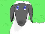  ambiguous_gender blue_eyes bovid caprine digital_media_(artwork) feral floppy_ears fur grass green_background grey_body horizontal_pupils looking_at_viewer mammal outside plant pupils shaded sheep simple_background simple_shading solo text white_body white_fur white_wool wool_(fur) youdumbbutt 