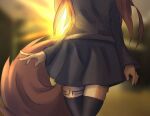  anthro apogee_(tinygaypirate) bottomwear brown_body brown_fur brown_hair canid canine canis clothed clothing digital_media_(artwork) domestic_dog faceless_character female fur hair hi_res legwear mammal markings skirt solo spitz tinygaypirate 