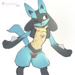  animal_genitalia animal_pussy anthro blue_body canine_pussy female genitals happy hi_res imgonnaloveyou lucario nintendo one_eye_closed pok&eacute;mon pok&eacute;mon_(species) pussy simple_background smile solo video_games 