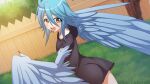  1girl ahoge artist_request ass black_dress blue_hair blue_wings blush breasts dress eyebrows_visible_through_hair feathered_wings feathers fence game_cg grass hair_between_eyes harpy looking_at_viewer looking_back medium_hair monster_girl monster_musume_no_iru_nichijou monster_musume_no_iru_nichijou_online official_alternate_costume official_art open_mouth outdoors papi_(monster_musume) small_breasts solo tree winged_arms wings yellow_eyes 