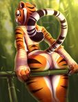  absurd_res anthro bamboo bamboo_tree bandage biped breasts butt clothed clothing dreamworks felid feline female hi_res kung_fu_panda looking_at_viewer looking_back mammal master_tigress muhomora pantherine plant raised_tail smile solo tiger tree 