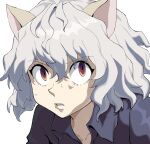  1other androgynous animal_ears bangs blue_shirt cat_ears collared_shirt commentary_request eyebrows_visible_through_hair eyelashes grey_hair hair_between_eyes highres hunter_x_hunter neferpitou parted_lips portrait purple_eyes q_haoyu shirt simple_background solo white_background 