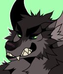  anthro black_body black_fur black_head_tuft black_nose bust_portrait canid cheek_tuft ears_up facial_tuft fangs front_view fur glistening glistening_eyes green_background green_eyes grey_body grey_fur grey_inner_ear grey_inner_ear_fluff inner_ear_fluff male mammal neck_tuft portrait princelykaden simple_background solo tuft 