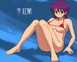  bikini bottomless braid glasses micro_bikini no_panties pussy ri_kouran sakura_taisen solo swimsuit tenseiani twin_braids 