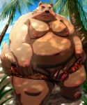  2022 absurd_res anthro balls beach belly big_belly bottomwear canid canine canis censored clothing detailed_background domestic_dog genitals hi_res humanoid_genitalia humanoid_hands humanoid_penis kemono kumajjjj male mammal moobs navel nipples outside overweight overweight_male palm_tree penis plant seaside shorts solo swimwear tree 