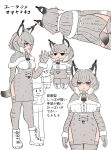  2girls :&lt; animal_ears bokoboko_(pandagapanda1) breasts capelet captain_(kemono_friends) cat_ears cat_tail character_sheet closed_mouth commentary eurasian_lynx_(kemono_friends) extra_ears fur-trimmed_capelet fur-trimmed_gloves fur_collar fur_trim gloves grey_hair highres hood hoodie kemono_friends kemono_friends_3 large_breasts looking_at_viewer multiple_girls pelvic_curtain short_hair side_slit tail translated 