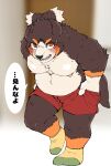  2022 anthro belly bernese_mountain_dog big_belly black_body blush bodily_fluids brown_body canid canine canis clothing dialogue domestic_dog hi_res humanoid_hands japanese_text kemono male mammal molosser moobs mountain_dog nipples osaruyan overweight overweight_male solo sweat swiss_mountain_dog text underwear white_body 