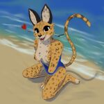  1:1 andy_234 beach breasts cheetah clothing felid feline felis female mammal nipples seaside solo swimwear undressing water zorey 