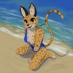  1:1 andy_234 cheetah felid feline felis female female/female mammal zorey 
