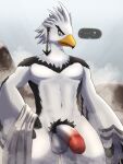  3:4 absurd_res anthro avian balls bird breath_of_the_wild erection genitals hi_res humanoid_genitalia humanoid_penis luto_tori male nintendo nude penis pubes rito teba_(tloz) the_legend_of_zelda video_games white_body wings 