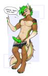  2022 absurd_res anthro blue_eyes brown_body brown_fur canid canine clothed clothing digital_media_(artwork) f-r95 fur genitals green_body green_fur green_hair green_penis green_tongue hair hi_res knot looking_at_viewer male mammal open_mouth penis shirtless smile solo teeth tongue 