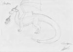  2022 absurd_res accessory artist_name black_and_white dragon ear_piercing european_mythology facial_horn female feral flameflower furgonomics hi_res horn horn_jewelry horn_ring jewelry long_tail makeup membrane_(anatomy) membranous_wings model_sheet monochrome mouth_closed mythological_creature mythological_scalie mythology necklace nose_horn paws piercing raised_wings reptile ring_(jewelry) scales scalie serdagonn signature skywing_(wof) solo tail tail_accessory traditional_media_(artwork) western_dragon wings wings_of_fire 