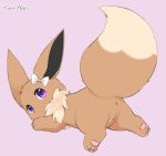  aleuoliver anus brown_body eevee female feral genitals hi_res lying nintendo pok&eacute;mon pok&eacute;mon_(species) purple_eyes pussy solo video_games 