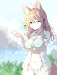  1girl animal_ear_fluff animal_ears arm_under_breasts blonde_hair breasts brown_eyes fox_ears fox_girl fox_shadow_puppet fox_tail highres kudamaki_tsukasa medium_breasts navel short_hair solo sunnysideup tail test_tube touhou yellow_eyes 