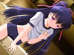  blue_hair blush buruma cameltoe crotch_rub dutch_angle flat_chest fukada_satsuki game_cg gym_storeroom gym_uniform hair_ribbon indoors long_hair louis&amp;visee masturbation midriff navel ponytail puchi_puchi_gohoushi purple_eyes ribbon self_fondle shirt_lift solo very_long_hair 