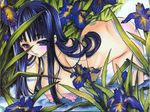  all_fours artist_request blue_eyes blue_hair blush breasts copyright_request flower grass highres huge_nipples large_breasts long_hair marker_(medium) nipples nude scan solo traditional_media water wet 
