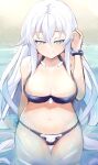  1girl absurdres aqua_eyes bikini bimmy black_heart bracelet breasts choujigen_game_neptune cleavage closed_mouth commentary english_commentary highres jewelry large_breasts long_hair looking_at_viewer naughty_face navel neptune_(series) seductive_smile smile solo stomach swimsuit very_long_hair water white_hair 
