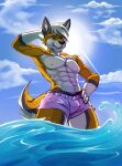  &lt;3 abs absurd_res anthro athletic balls beach canid canine clothing dominant dominant_male fluffy fluffy_tail fox fur genitals haki_fang hand_on_hip hi_res light light_beam looking_at_viewer looking_down looking_down_at_viewer low-angle_view lura_dura male male/male mammal markings multicolored_body multicolored_fur multicolored_markings muscular muscular_anthro muscular_male narrowed_eyes nature nature_background nipples outside pecs presenting purple_eyes seaside smile solo solo_focus summer sunbeam sunlight swimming_trunks swimwear teeth thick_thighs water 
