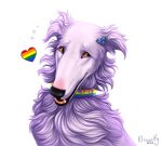  &lt;3 2022 absurd_res ambiguous_gender artist_name black_nose blush brown_eyes canid canine canis domestic_dog fangs feral fur headshot_portrait hi_res icon kleowolfy lgbt_history_month lgbt_pride mammal open_mouth portrait purple_body purple_fur rainbow_pride_collar rainbow_pride_colors simple_background snout solo teeth white_background 