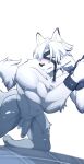  absurd_res anthro balls canid canine canis flaccid genitals hi_res kuroikiri male mammal muscular muscular_male penis simple_background solo vein veiny_penis white_body wolf zenless_zone_zero 