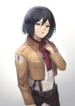  1girl absurdres bangs belt belt_buckle black_eyes black_hair brown_belt brown_jacket buckle dress_shirt hair_between_eyes highres jacket long_sleeves medium_hair mikasa_ackerman open_clothes open_jacket open_mouth paradis_military_uniform pepeo red_scarf scarf shingeki_no_kyojin shiny shiny_hair shirt solo standing straight_hair suspenders three-dimensional_maneuver_gear white_background white_shirt wing_collar 