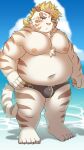  2022 absurd_res anthro beach belly big_belly bulge clothing cloud felid hi_res humanoid_hands kemono licho_(tas) lifewonders male mammal moobs navel nipples outside overweight overweight_male pantherine ptcmtr seaside solo swimwear tiger tokyo_afterschool_summoners video_games water white_body 
