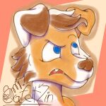  annoyed anthro blue_eyes brown_body brown_fur brown_nose cafet&#039;zin_(artist) canid canine canis domestic_dog floppy_ears fluffy fur hair hi_res male mammal portrait shaded signature simple_background simple_shading solo tan_body tan_fur white_body white_fur 