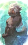  anthro athletic birry41 brown_body brown_fur butt canid canine fur hair hi_res lifewonders looking_at_viewer looking_back male mammal muscular painting_(artwork) red_eyes scar solo tadatomo tattoo tokyo_afterschool_summoners traditional_media_(artwork) video_games water white_hair 