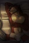  absurd_res anthro briefs clothing ezo hi_res male sleeping solo tighty_whities underwear vulprofox white_briefs white_clothing white_underwear 