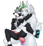  anthro balls big_penis birthday black_body black_nose blue_nose canid canine canis domestic_dog duo feet fur genitals germoz6 hi_res humanoid larger_male male male/male mammal muscular paws penis simple_background size_difference teeth white_background white_body white_fur wolf 