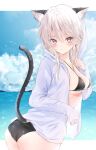  1girl animal_ear_fluff animal_ears ass bikini bikini_under_clothes black_bikini blue_sky blush breasts cat_ears cat_tail cleavage closed_mouth cloud cloudy_sky cowboy_shot day ear_piercing extra_ears from_side gradient_eyes grey_hair hair_between_eyes harui_(hr_x9_) highres hood hoodie leaning_forward long_hair looking_at_viewer medium_breasts mole mole_on_ass mole_on_breast multicolored_eyes ocean open_clothes open_hoodie original outdoors piercing red_eyes sky sleeves_past_wrists solo standing swimsuit tail wet white_hoodie 