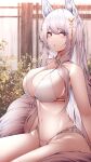  1girl absurdres animal_ear_fluff animal_ears azur_lane bare_arms blurry blurry_background blush bra breasts choker cleavage fox_ears fox_girl fox_tail grey_eyes hair_ornament highres lace_trim large_breasts looking_at_viewer multiple_tails navel panties parted_lips samip shinano_(azur_lane) sitting solo stomach tail thighs underwear white_bra white_hair white_panties white_tail 