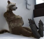  3d_(artwork) anthro bathroom blender_(software) bloated brown_body brown_fur digital_media_(artwork) fur genitals guardians_of_the_galaxy hi_res looking_at_belly male mammal marvel paws penis procyonid raccoon rocket_raccoon sitting solo tawzy vore white_body white_fur 