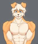  anthro baicha blue_eyes hi_res male muscular solo 