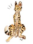  2022 ambiguous_gender felid feline feral flashlioness fur mammal paws serval simple_background smile solo spots spotted_body spotted_fur white_background 