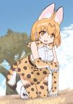  1girl absurdres animal_ears animal_print arm_support bangs bare_shoulders bent_over black_hair bow bowtie breast_pocket breasts colored_inner_hair day dutch_angle elbow_gloves extra_ears full_body gloves grass high-waist_skirt highres kemono_friends kneeling looking_at_viewer medium_breasts medium_hair miniskirt multicolored_hair nyaseiru open_mouth orange_hair outdoors paw_pose pocket print_bow print_bowtie print_gloves print_legwear print_scarf print_skirt savannah scarf serval_(kemono_friends) serval_print shirt shoes skirt sleeveless sleeveless_shirt smile solo tail taut_clothes taut_shirt thighhighs tree two-tone_hair yellow_eyes zettai_ryouiki 