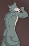  anthro beastars black_nose butt canid canine canis ears_up fur grey_body grey_fur hi_res legoshi_(beastars) looking_at_viewer looking_back looking_back_at_viewer male mammal muscular muscular_male shirtless shirtless_anthro shirtless_male simple_background solo victory_clint wolf 