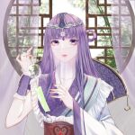  1girl bamboo closed_mouth curtains glass hair_ornament hair_rings highres long_hair purple_hair qin_shi_ming_yue round_window shao_siming_(qin_shi_ming_yue) shao_siming_guang_wei solo upper_body vegetation veil window 