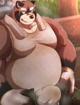  2022 anthro band-aid bandage belly big_belly brown_body bulge canid canine clothing green_eyes kemono male mammal musk nullraihigi outside overweight overweight_male raccoon_dog scar shirt sitting solo tanuki topwear towel underwear 