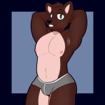  anthro armpit_hair belly_tuft body_hair brown_eyes bulge canid canine canis clothing domestic_dog hi_res invalid_tag male mammal muscular muscular_male nipples sleepingpowder smile solo tuft underwear 