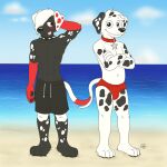  101_dalmatian_street 101_dalmatians beach bulge canid canine canis clothing collar dalmatian disney doggettdouglasmcdog domestic_dog duo dylan_(101_dalmatians) hi_res male male/male mammal pose sand sea seaside speedo spiked_collar spikes star_collar_tag swimming_trunks swimwear tongue tongue_out water 
