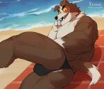  2022 anthro anus barely_visible_anus beach biped blush brown_body brown_fur bulge butt canid canine canis digital_media_(artwork) domestic_dog fur gakujo hi_res looking_at_viewer looking_back looking_back_at_viewer lying male mammal multicolored_body multicolored_fur muscular muscular_anthro muscular_male on_side open_mouth open_smile seaside sharp_teeth smile solo teeth two_tone_body two_tone_fur white_body white_fur yellow_eyes 