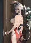  1girl alternate_costume animal_ear_fluff animal_ears arknights ass backless_dress backless_outfit bare_arms bare_shoulders cat_ears cat_tail commentary cowboy_shot da_(datako) door dress earrings english_commentary grey_eyes grey_hair hair_between_eyes highres indoors jewelry long_hair looking_at_viewer red_dress schwarz_(arknights) see-through sleeveless sleeveless_dress solo standing tail vase 