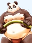  2022 anthro asian_clothing bamboo belly big_belly black_body blush clothing east_asian_clothing fundoshi giant_panda humanoid_hands japanese_clothing kemono male mammal meg_hoi moobs navel nipples overweight overweight_male red_clothing red_fundoshi red_underwear simple_background solo underwear ursid white_body 