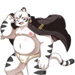  2022 anthro belly big_belly black_nose blush bulge clothing dokyudokyu1 felid hi_res kemono male mammal moobs navel nipples overweight overweight_male pantherine simple_background solo tiger underwear white_background white_body 